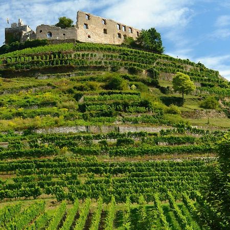 Hotel Der Loewen In Staufen Esterno foto