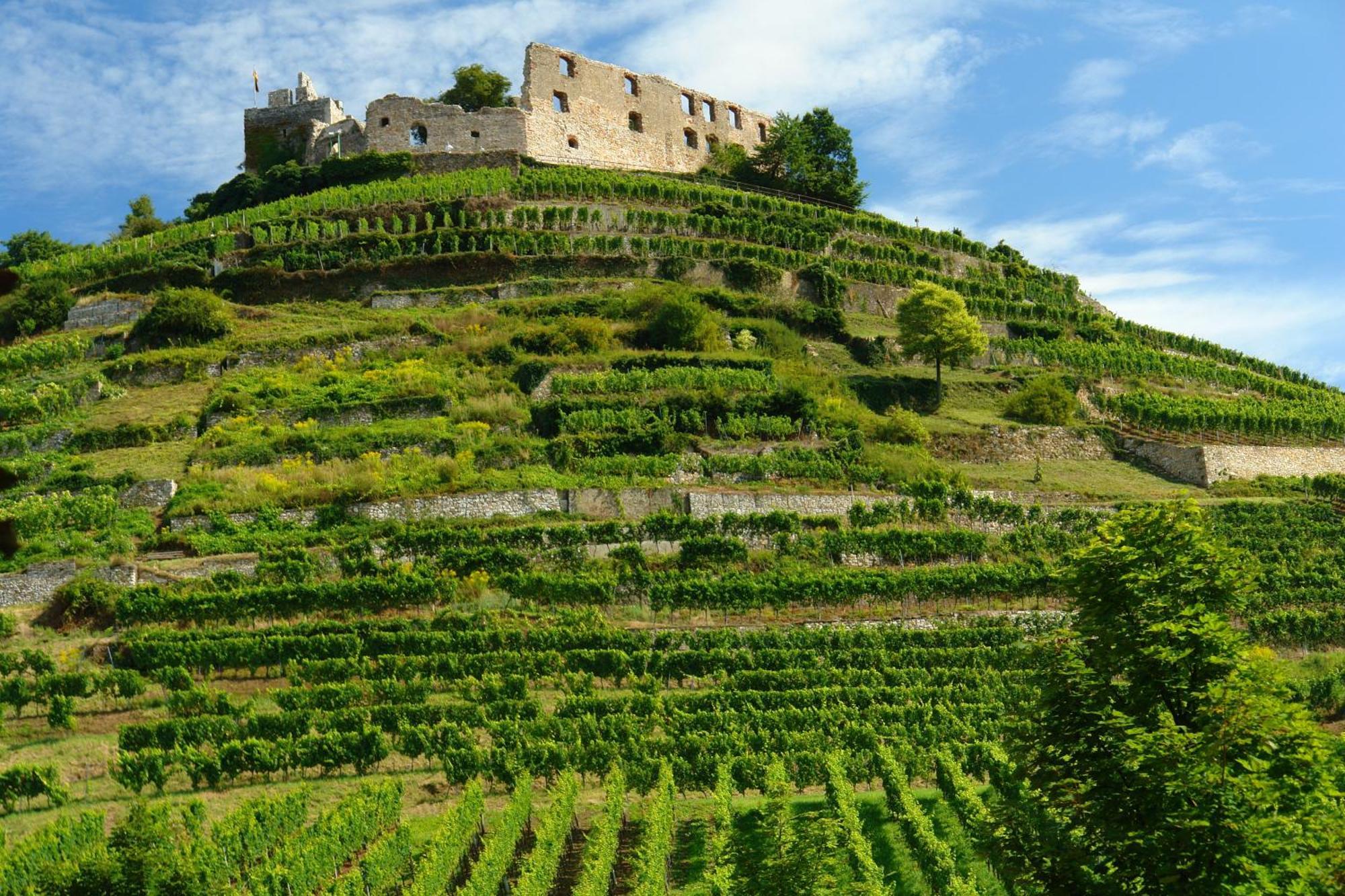 Hotel Der Loewen In Staufen Esterno foto